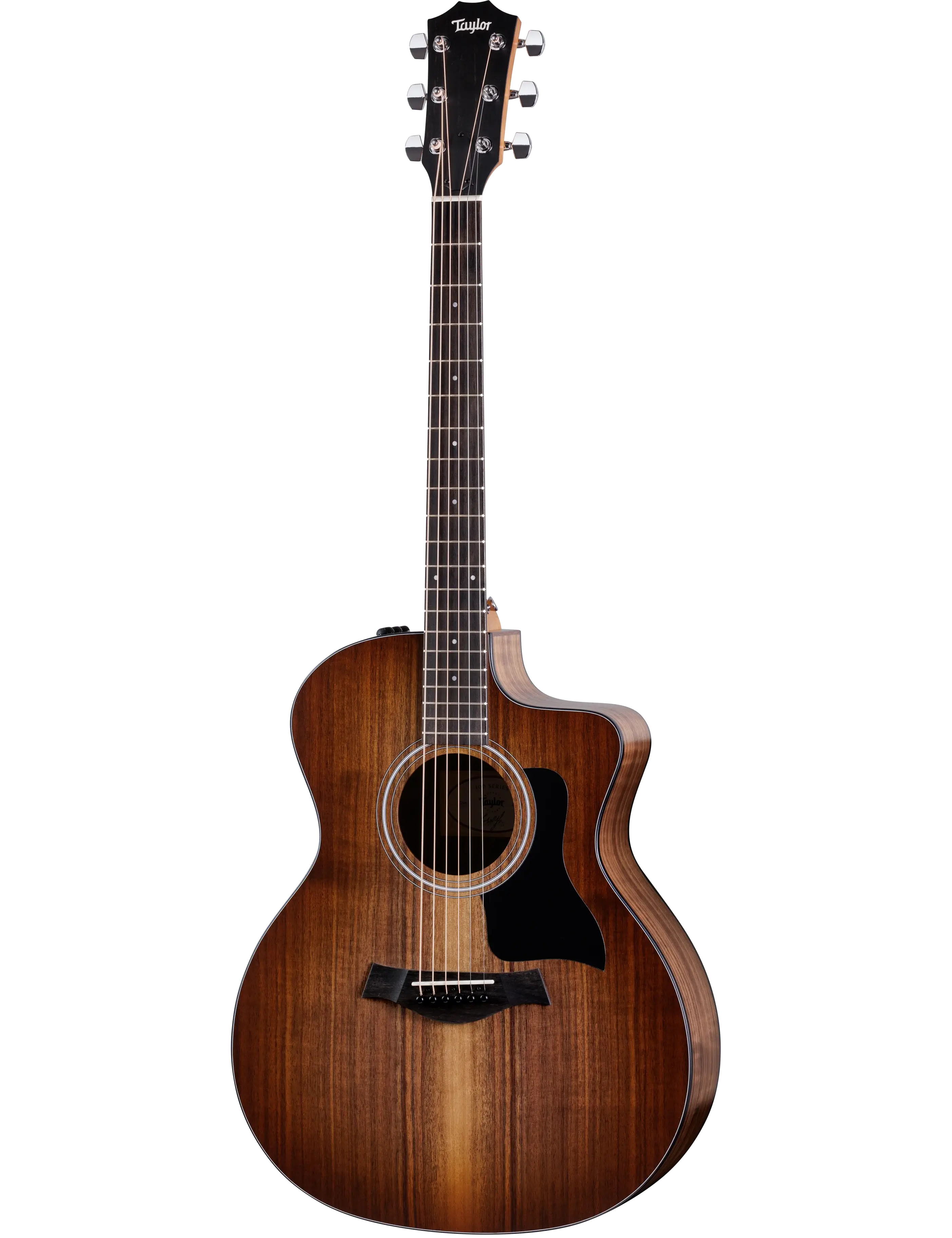 Taylor 124ce Special Edition