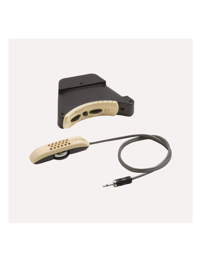 LR Baggs Anthem Internal Tru-Mic pickup and preamp system