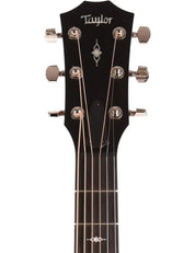 Taylor 317e