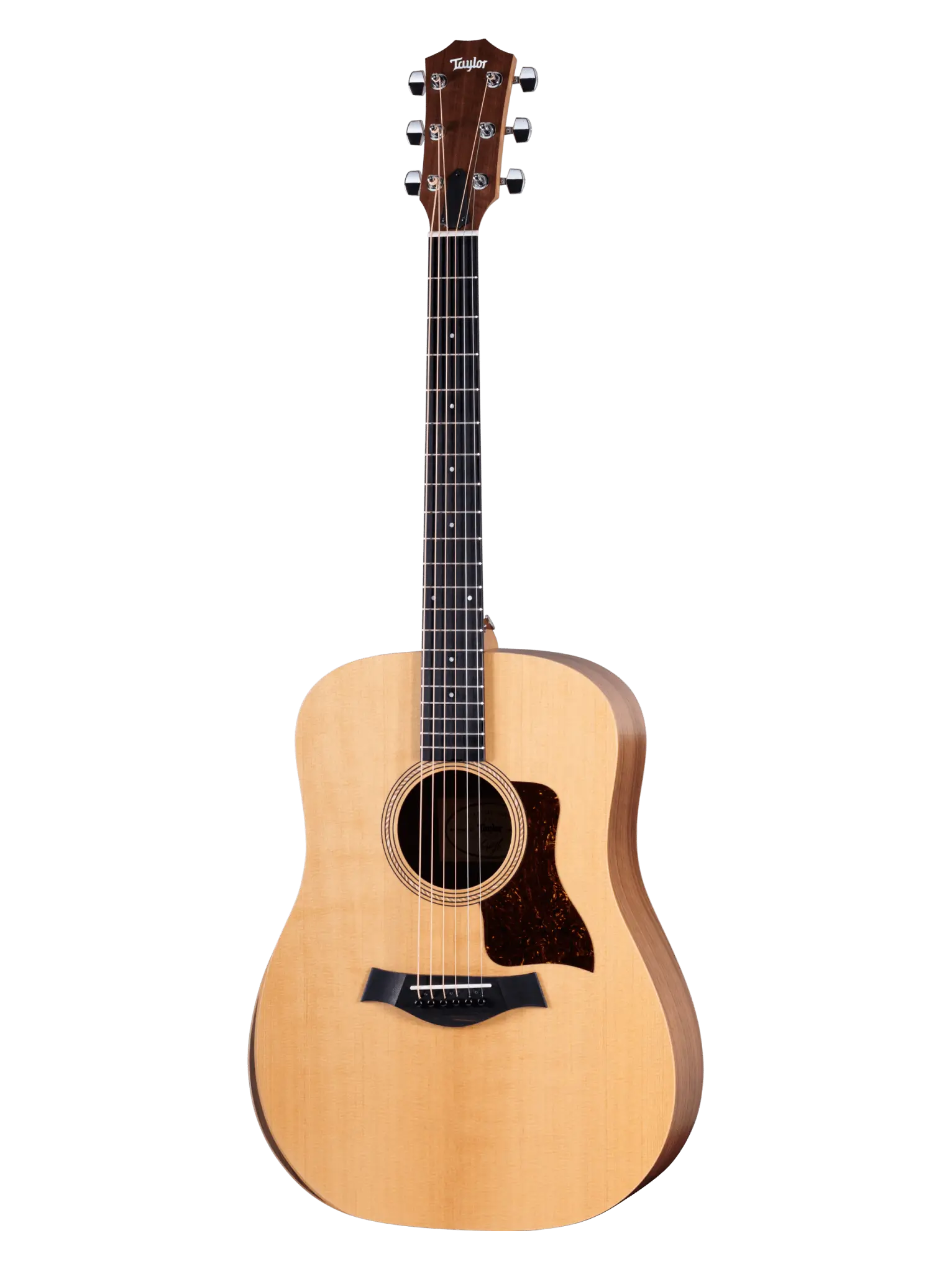 Taylor Academy Dreadnought