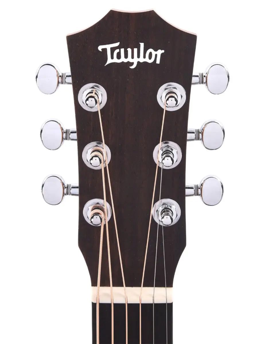 Taylor BT-Koa