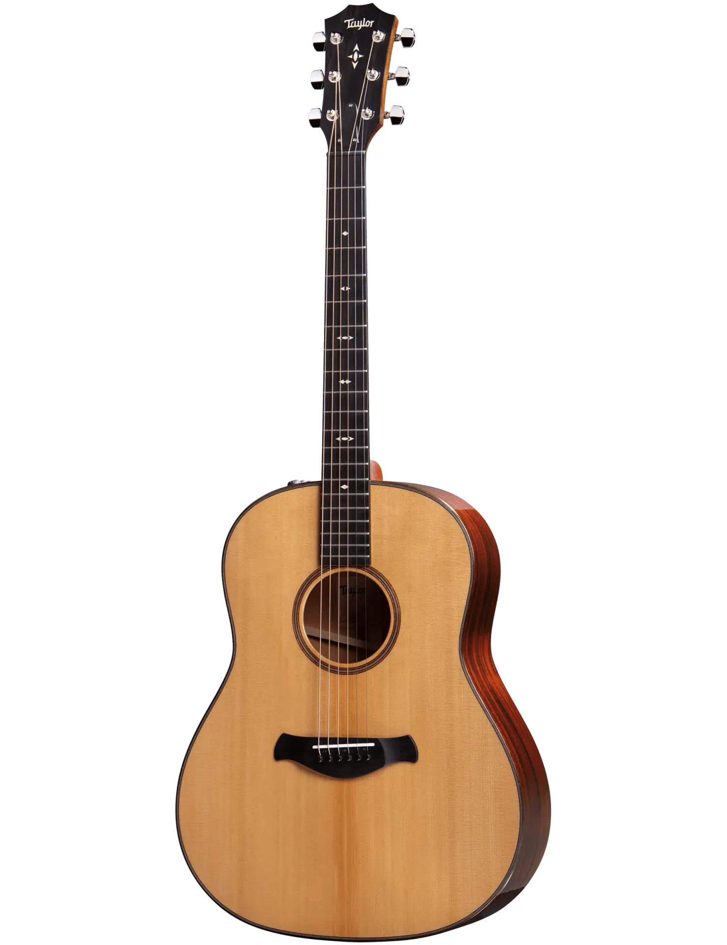 Taylor 517e Builder's Edition