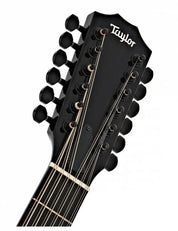 Taylor 250ce-BLK Plus