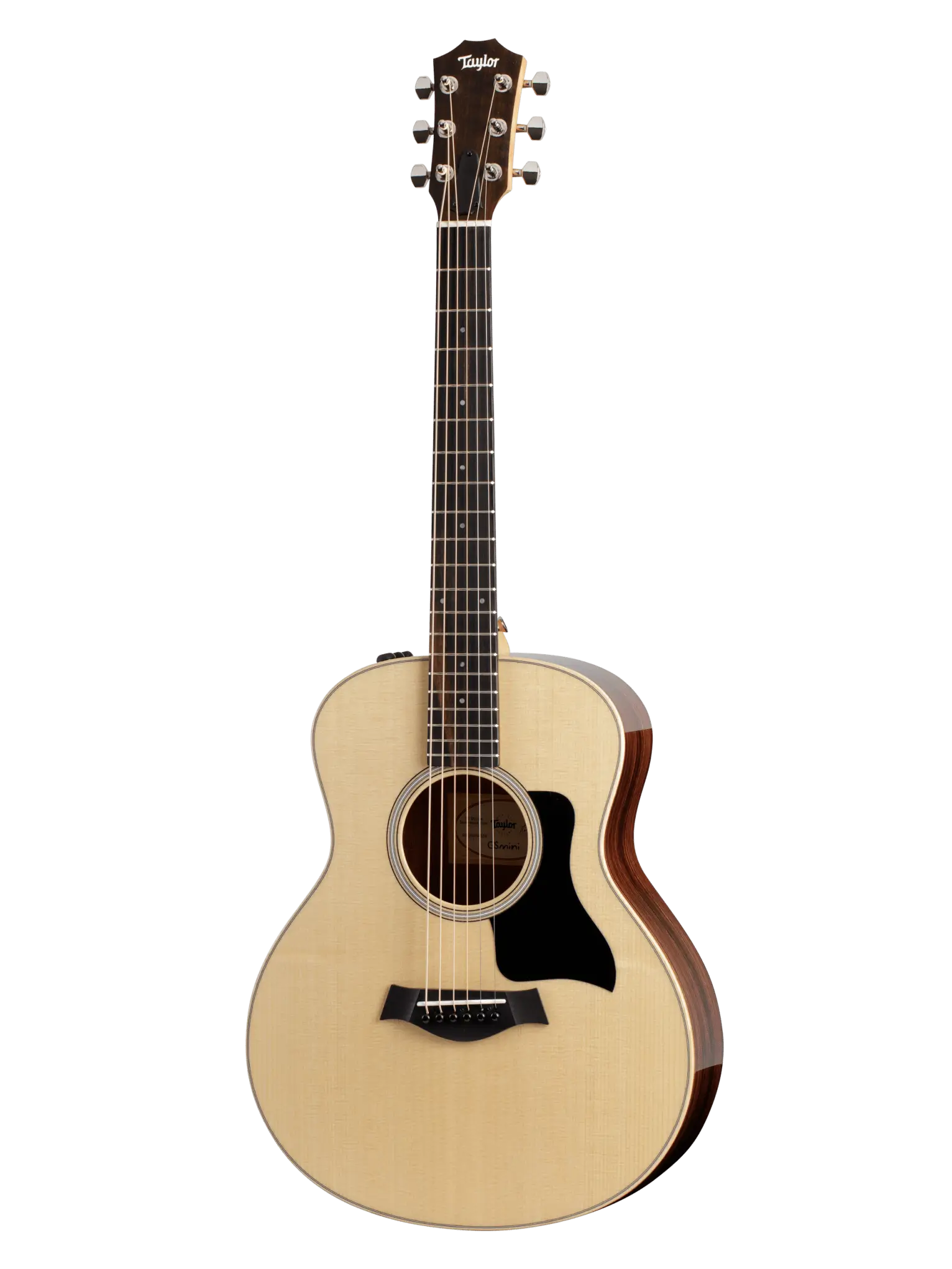 Taylor GS Mini
