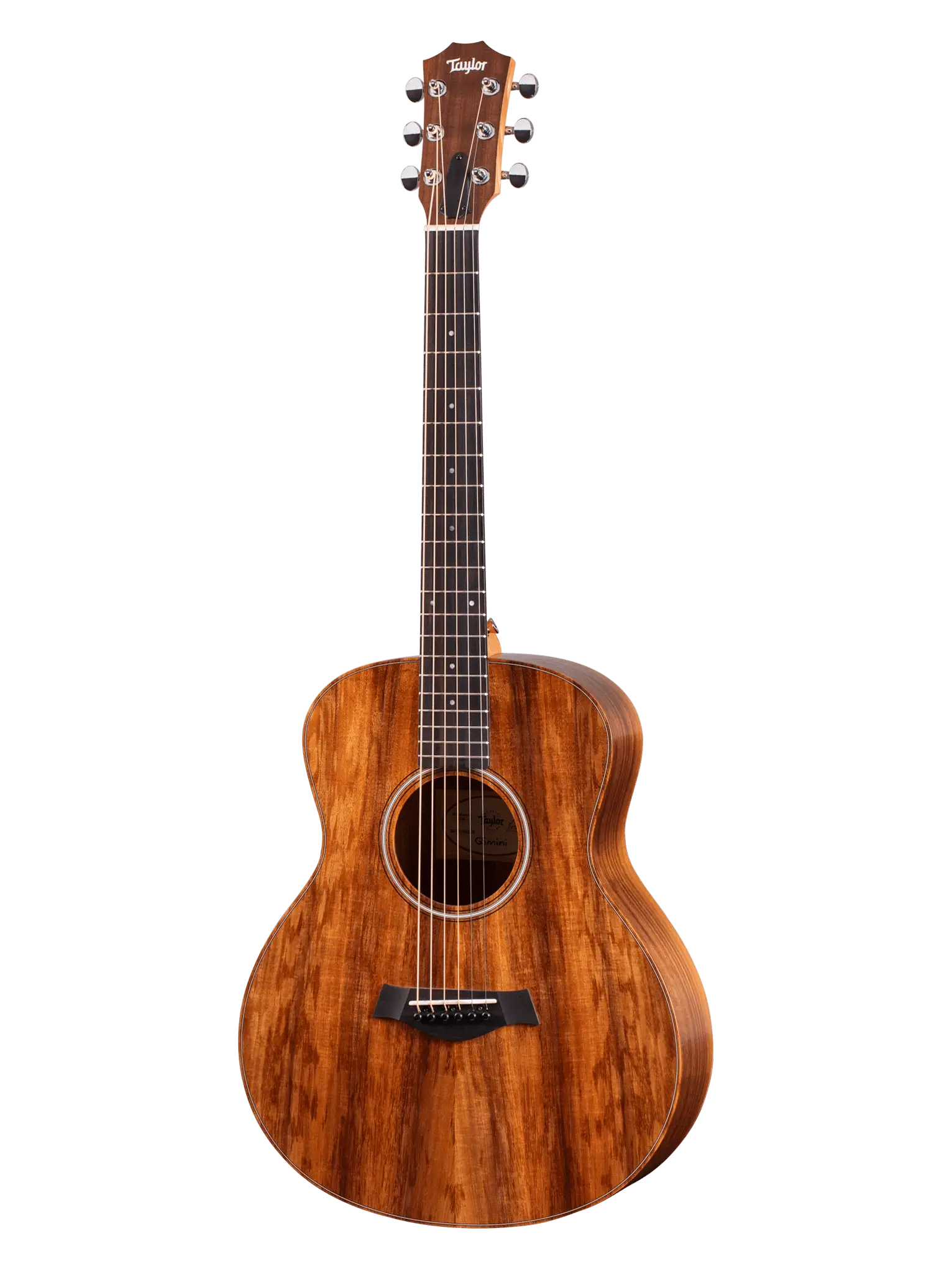 Taylor GS Mini