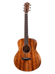 Taylor GS Mini