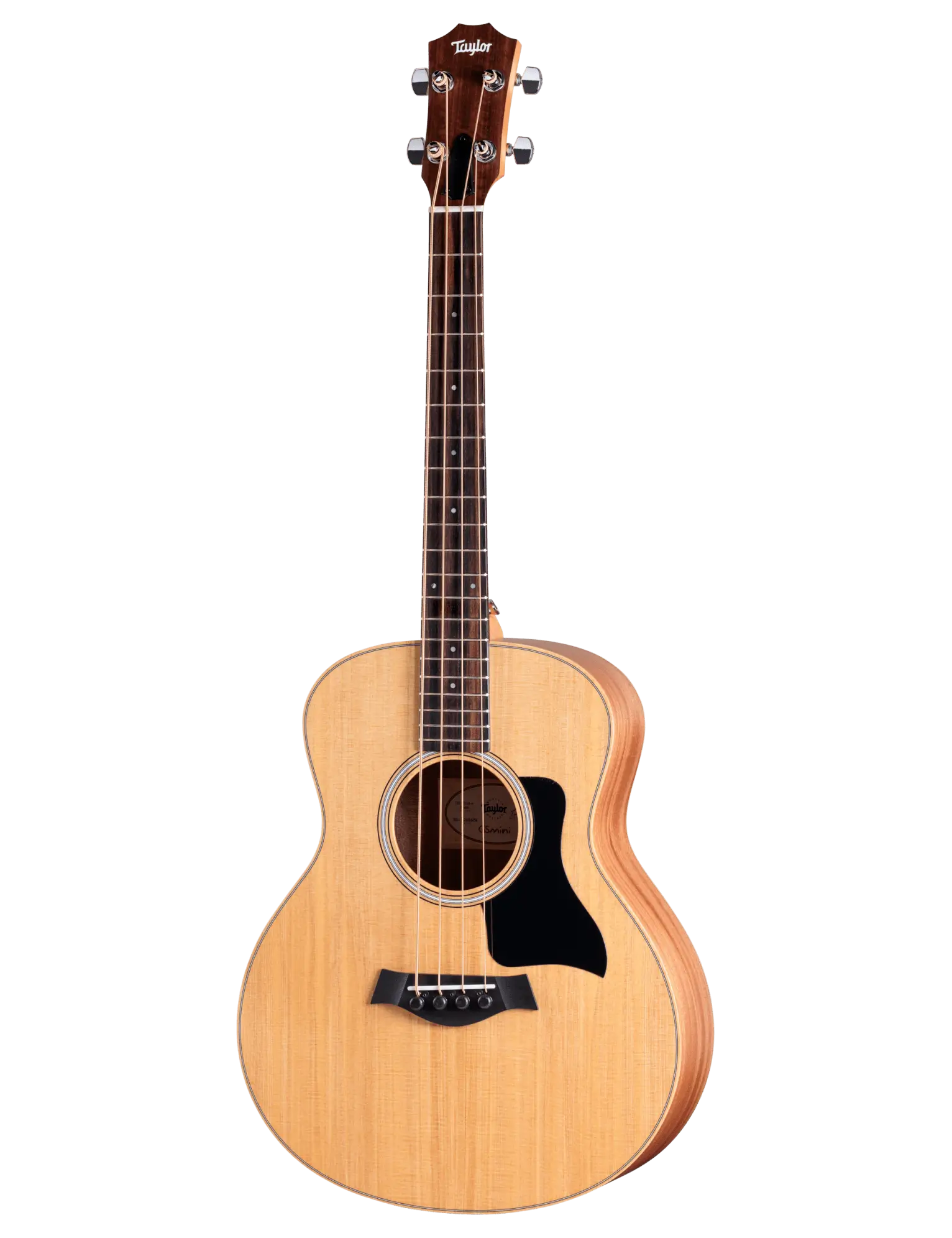 Taylor GS Mini