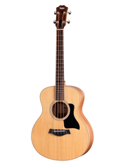 Taylor GS Mini