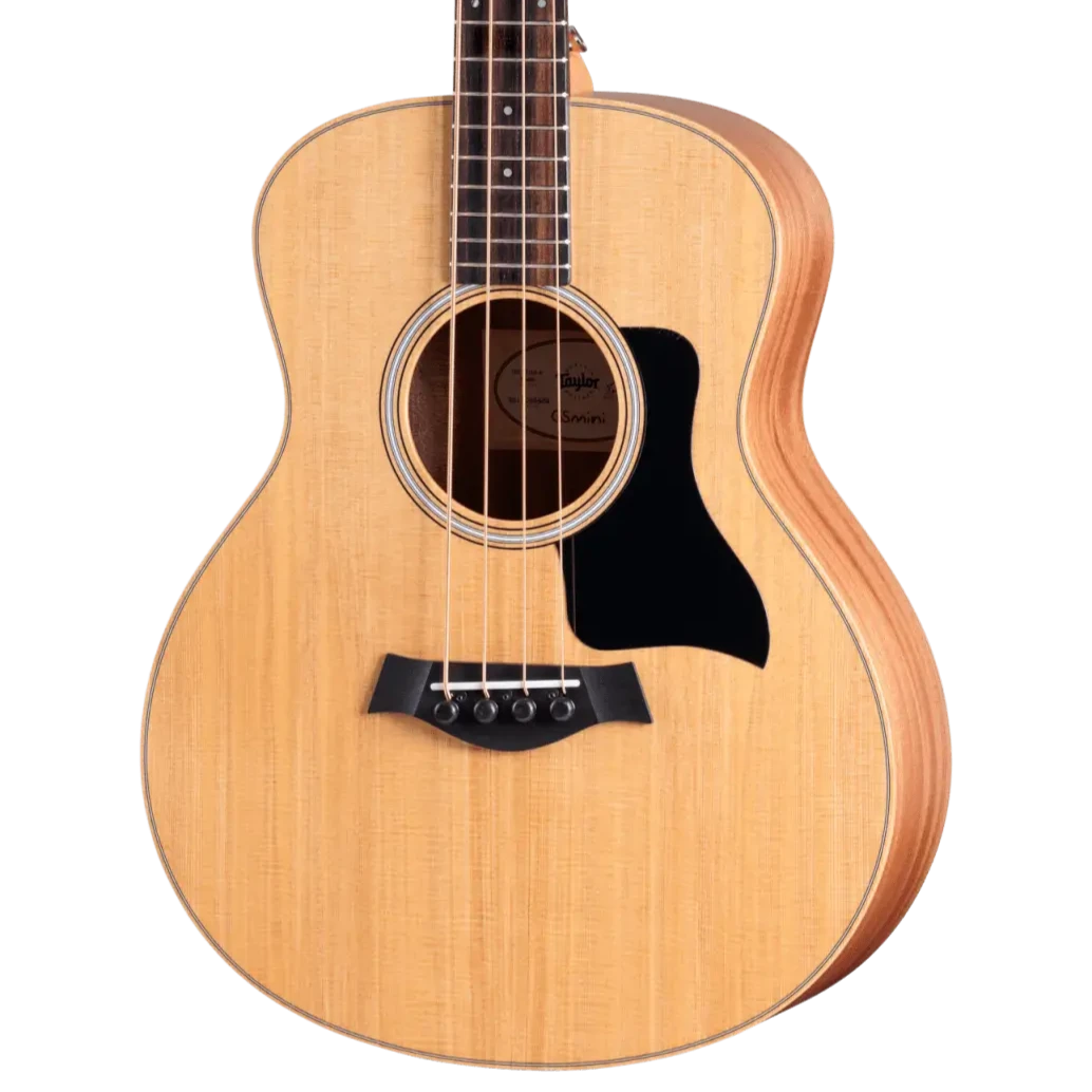 GS_MINI_E_KOA_BASS_f55af469-4c10-45e7-9487-7800c2503b61.webp