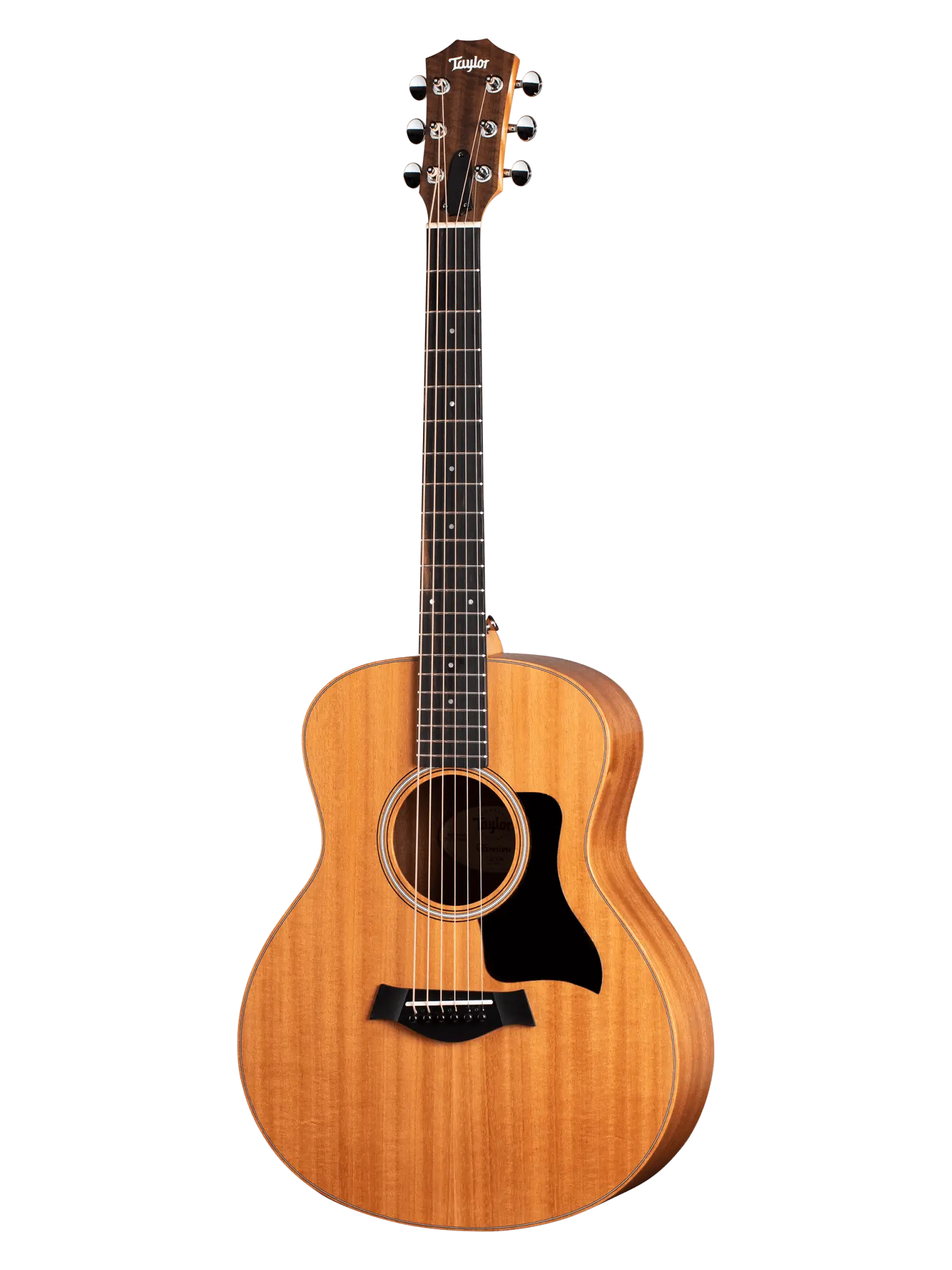 Taylor GS Mini
