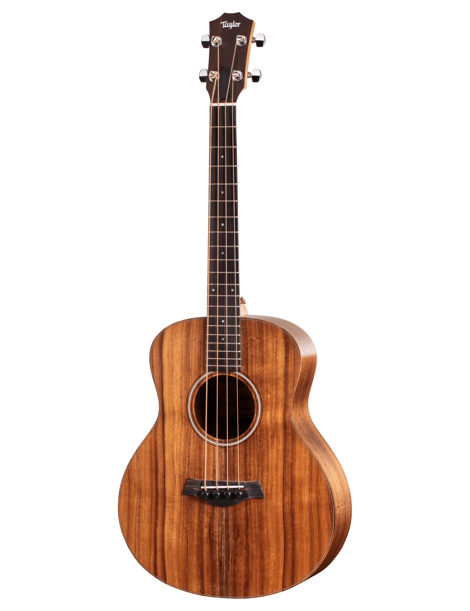 Taylor GS Mini