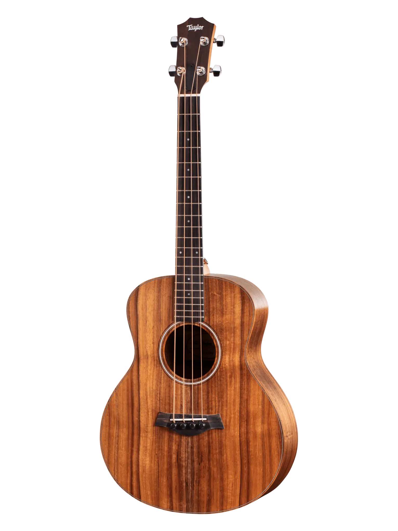 Taylor GS Mini