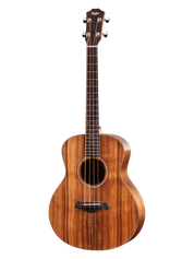 Taylor GS Mini