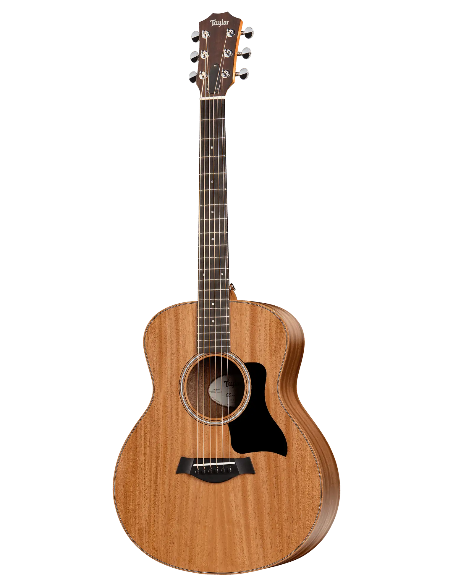 Taylor GS Mini