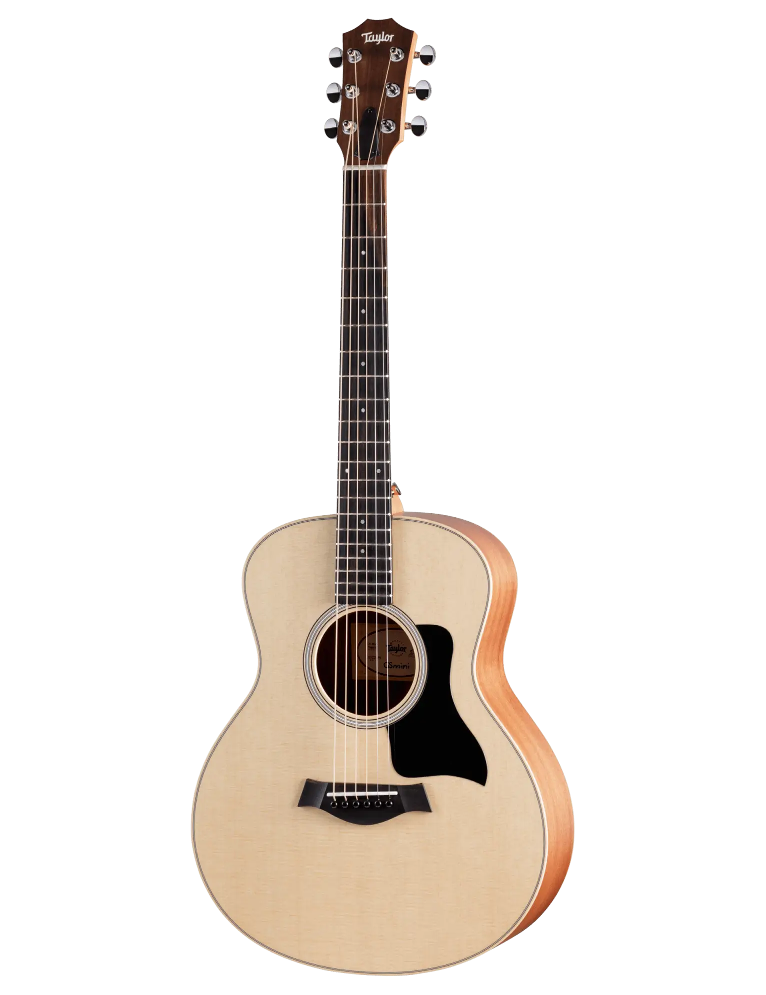 Taylor GS Mini