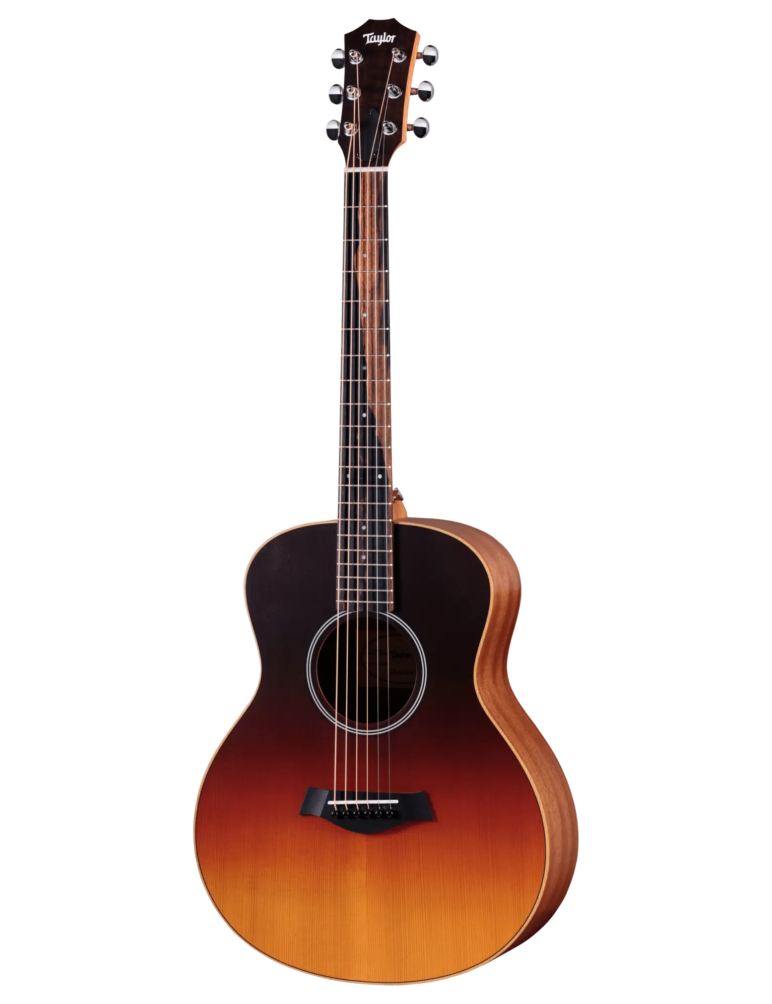 Taylor GS Mini