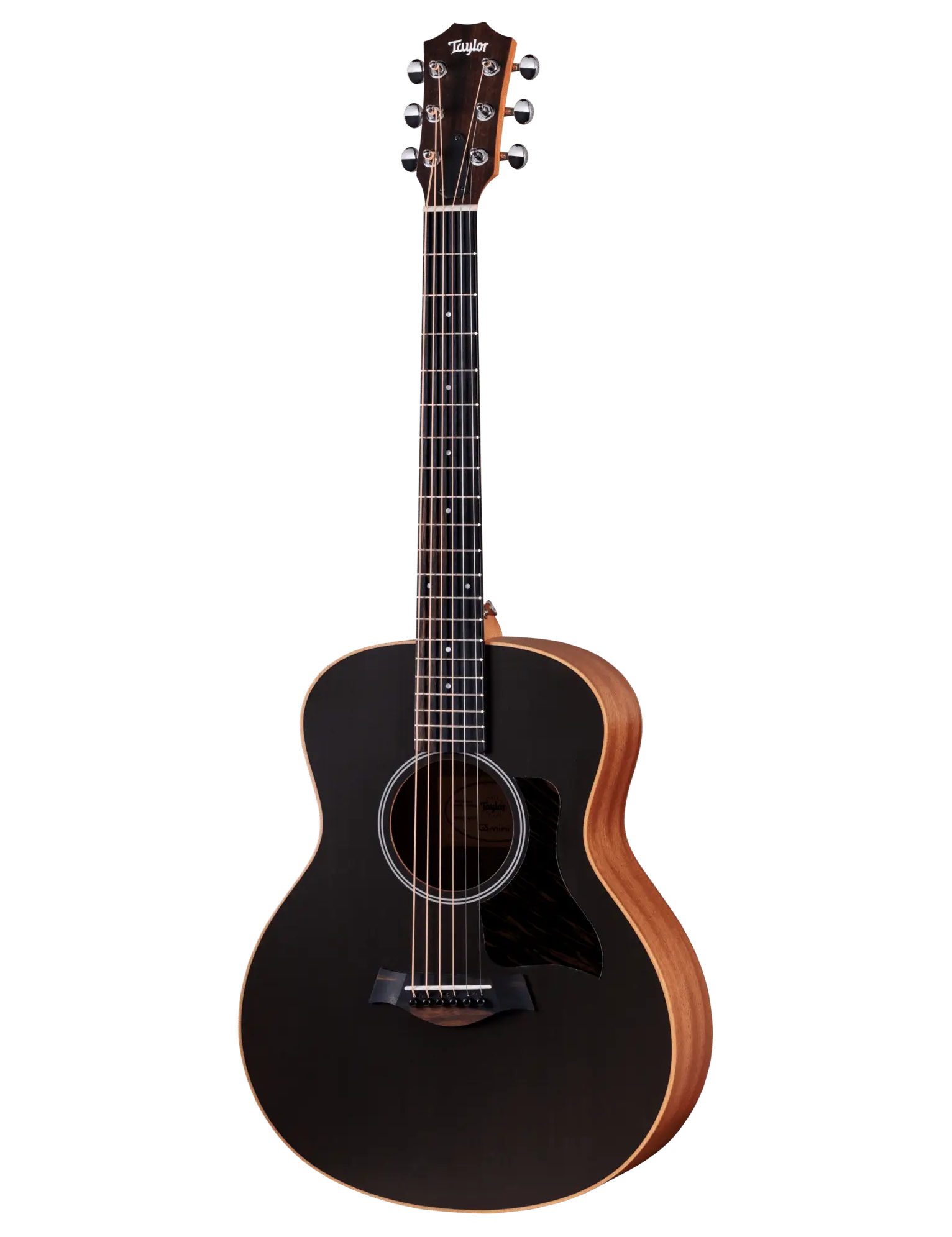 Taylor GS Mini