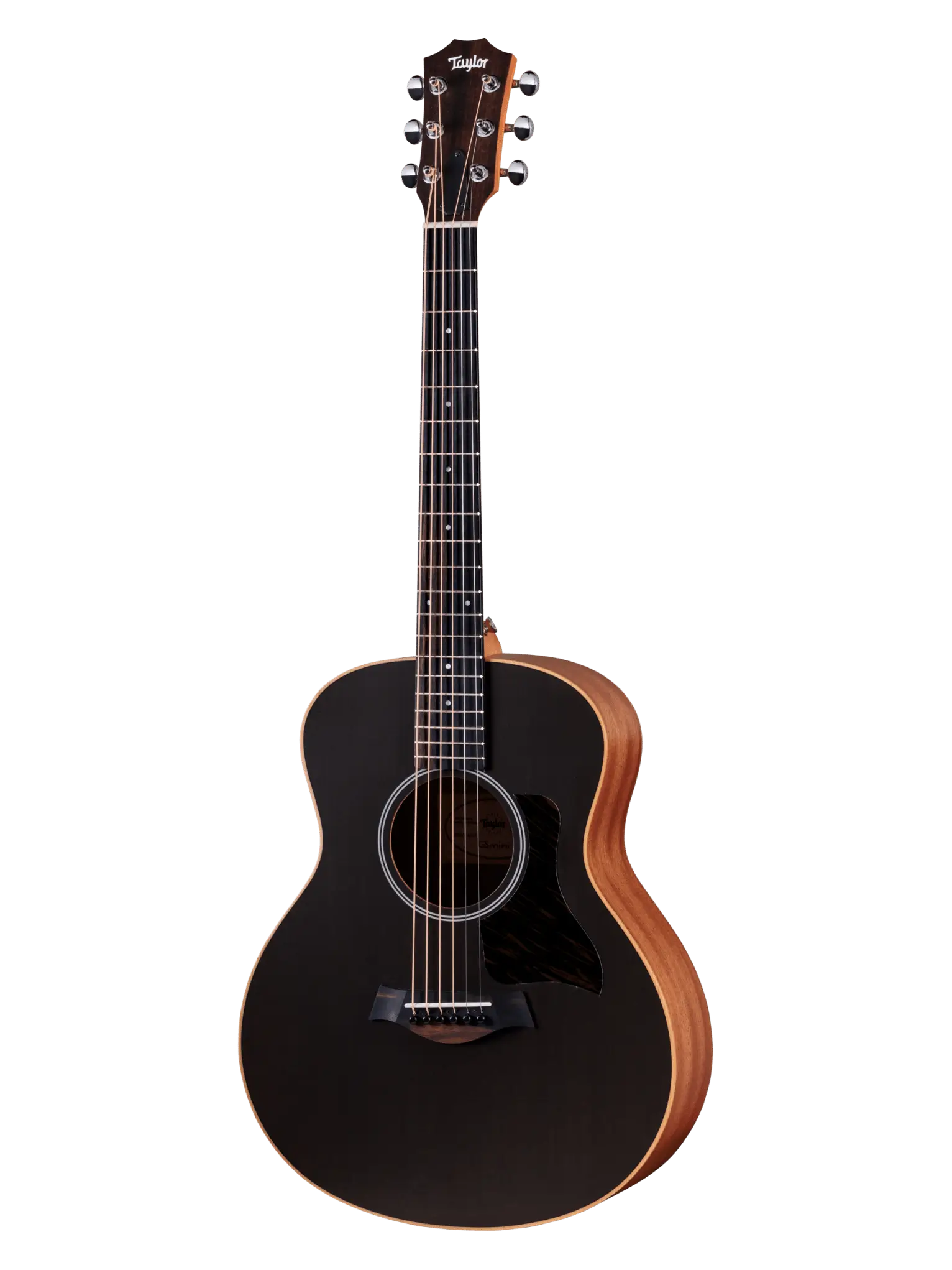 Taylor GS Mini