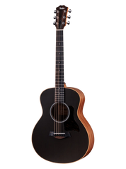 Taylor GS Mini