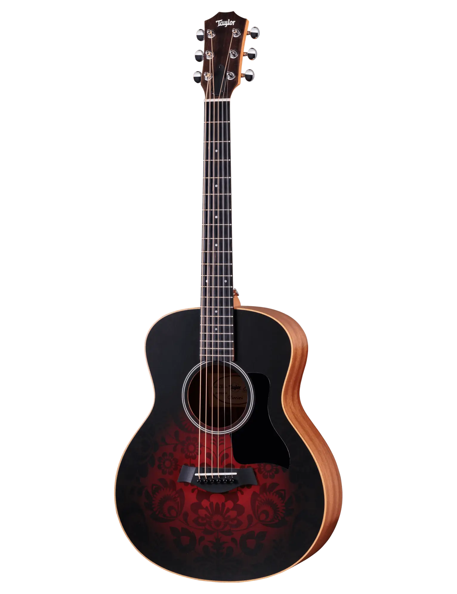 Taylor GS Mini