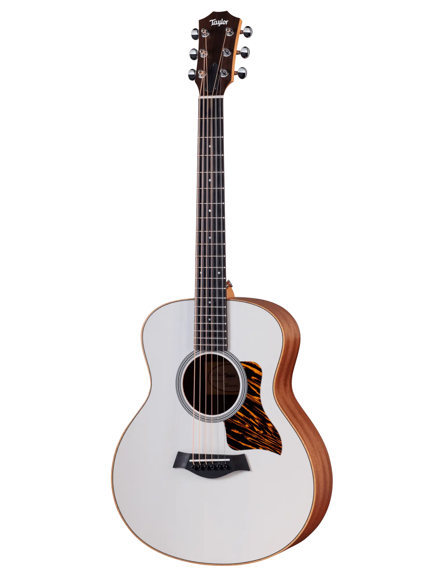 Taylor GS Mini