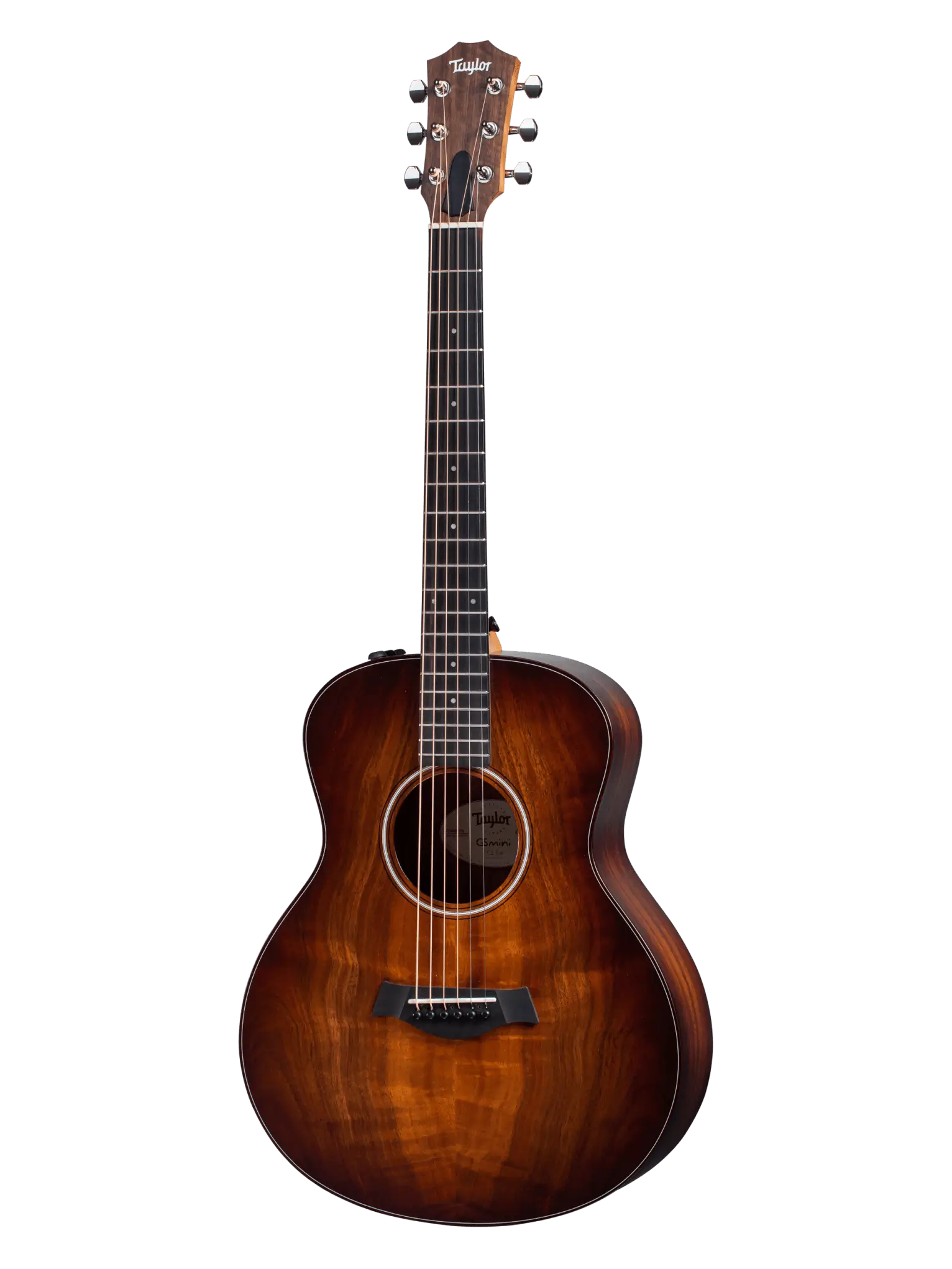 Taylor GS Mini