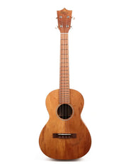 Martin T1K Uke