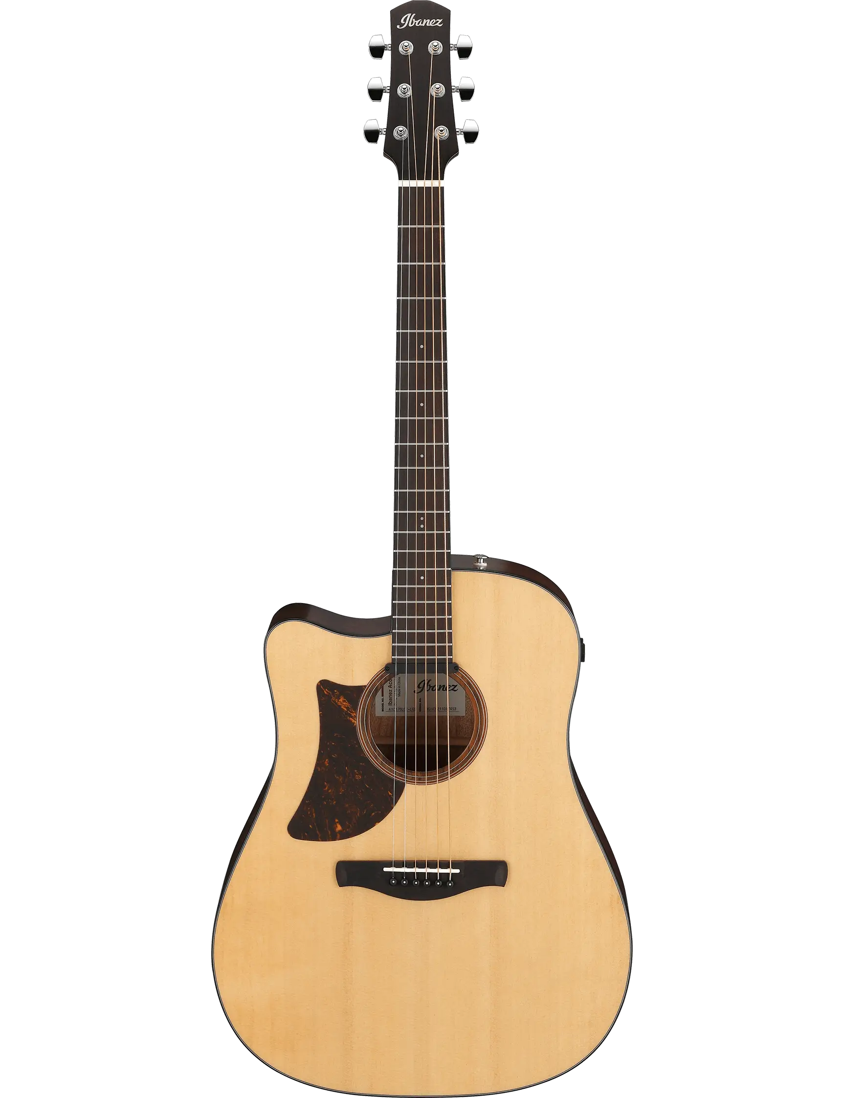 Ibanez AAD170LCE