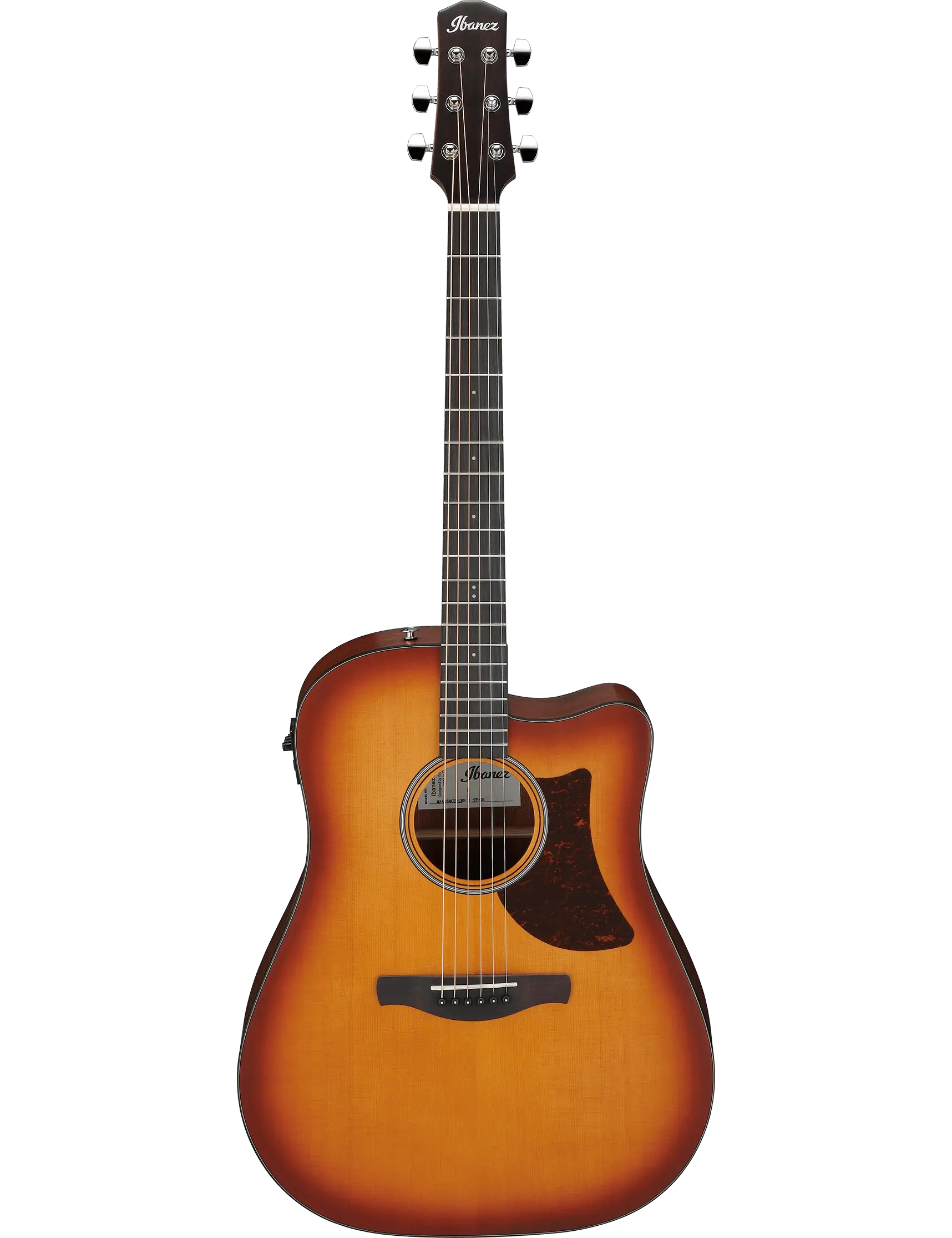 Ibanez AAD50CE
