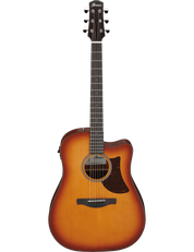 Ibanez AAD50CE