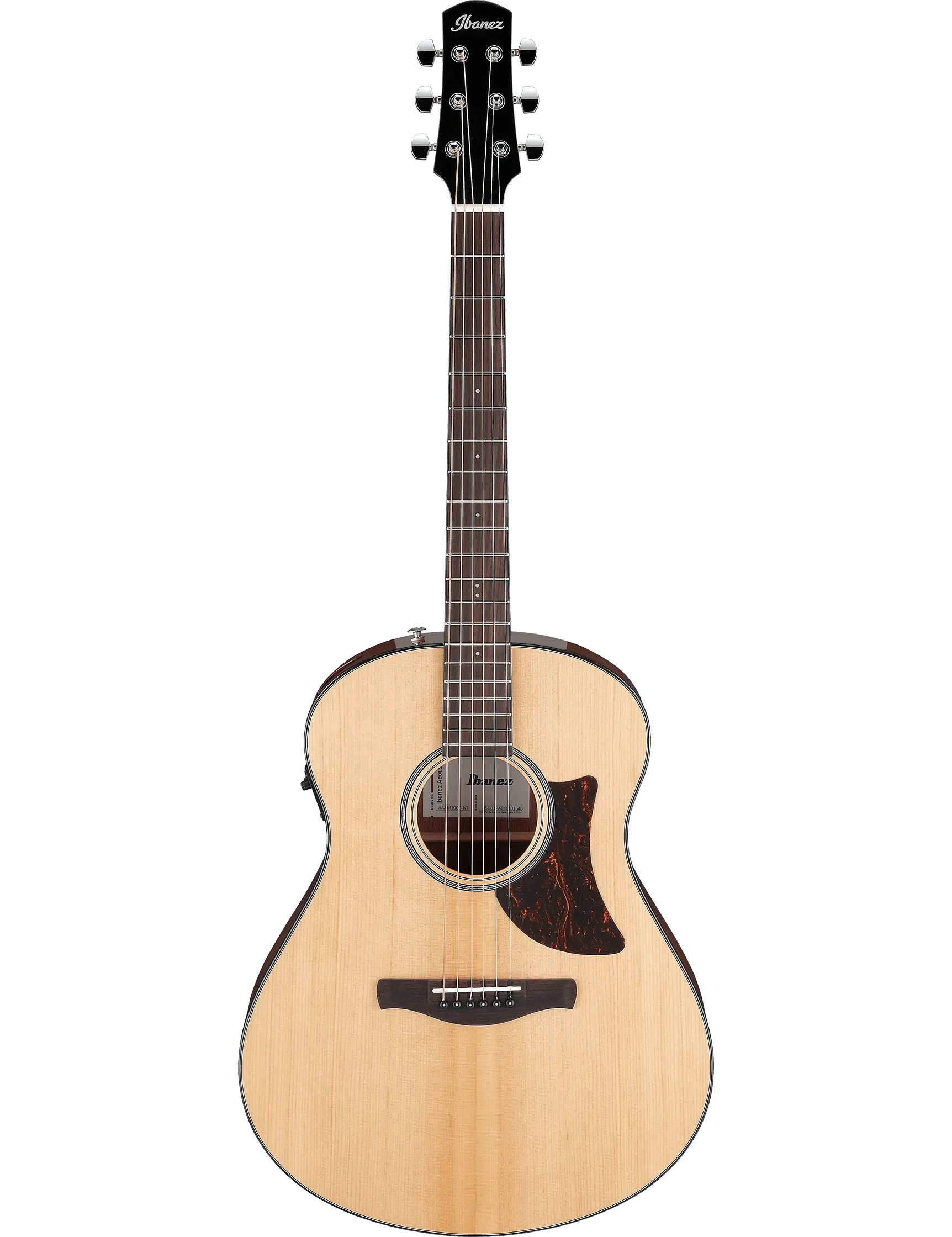 Ibanez AAM100E