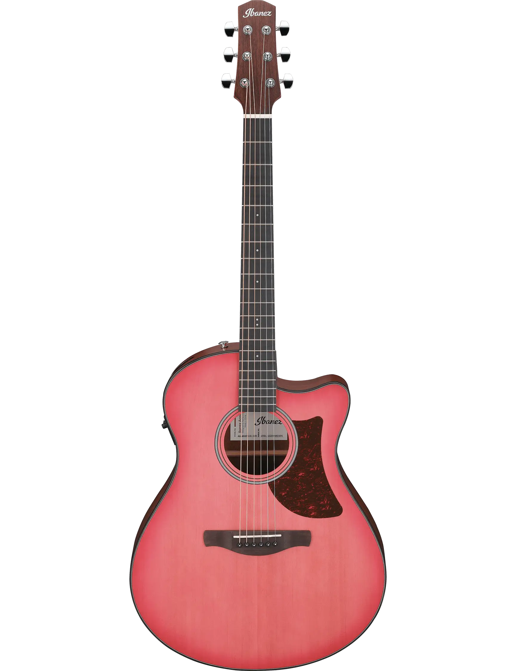 Ibanez AAM50CE