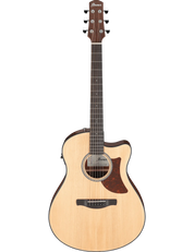 Ibanez AAM50CE