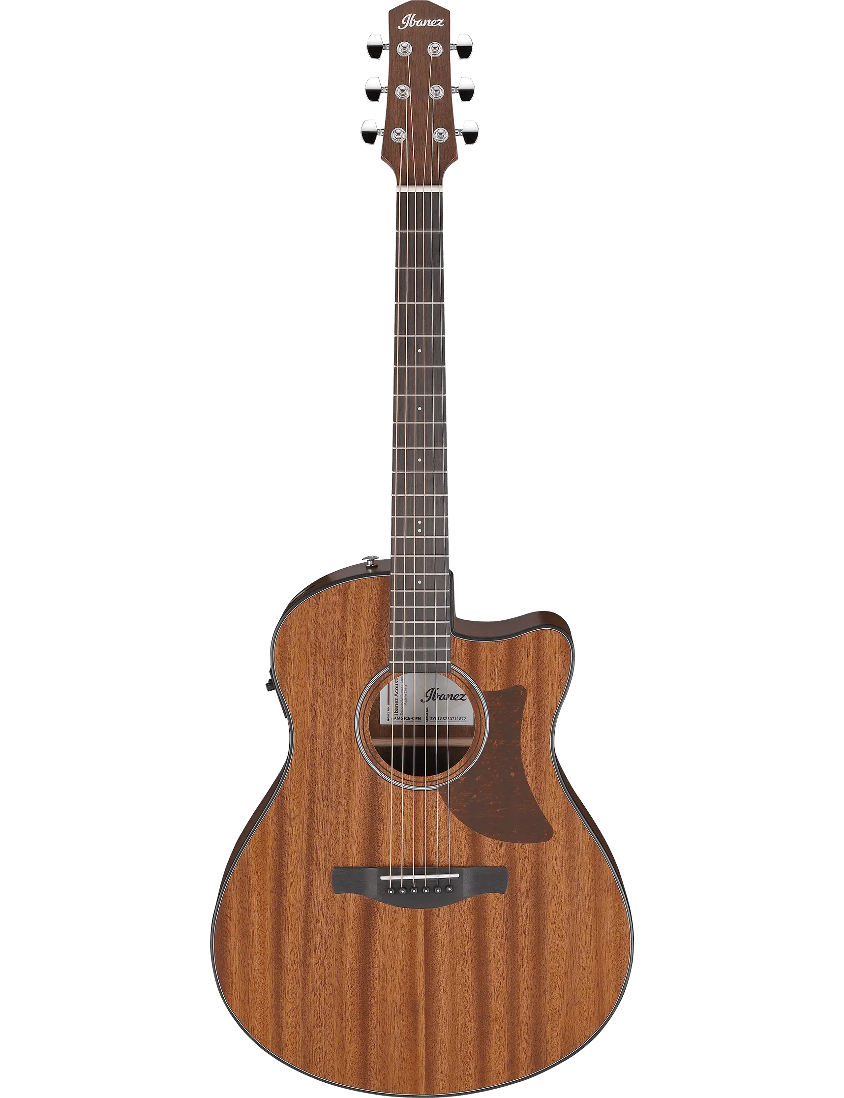 Ibanez AAM54CE