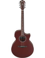 Ibanez AE100