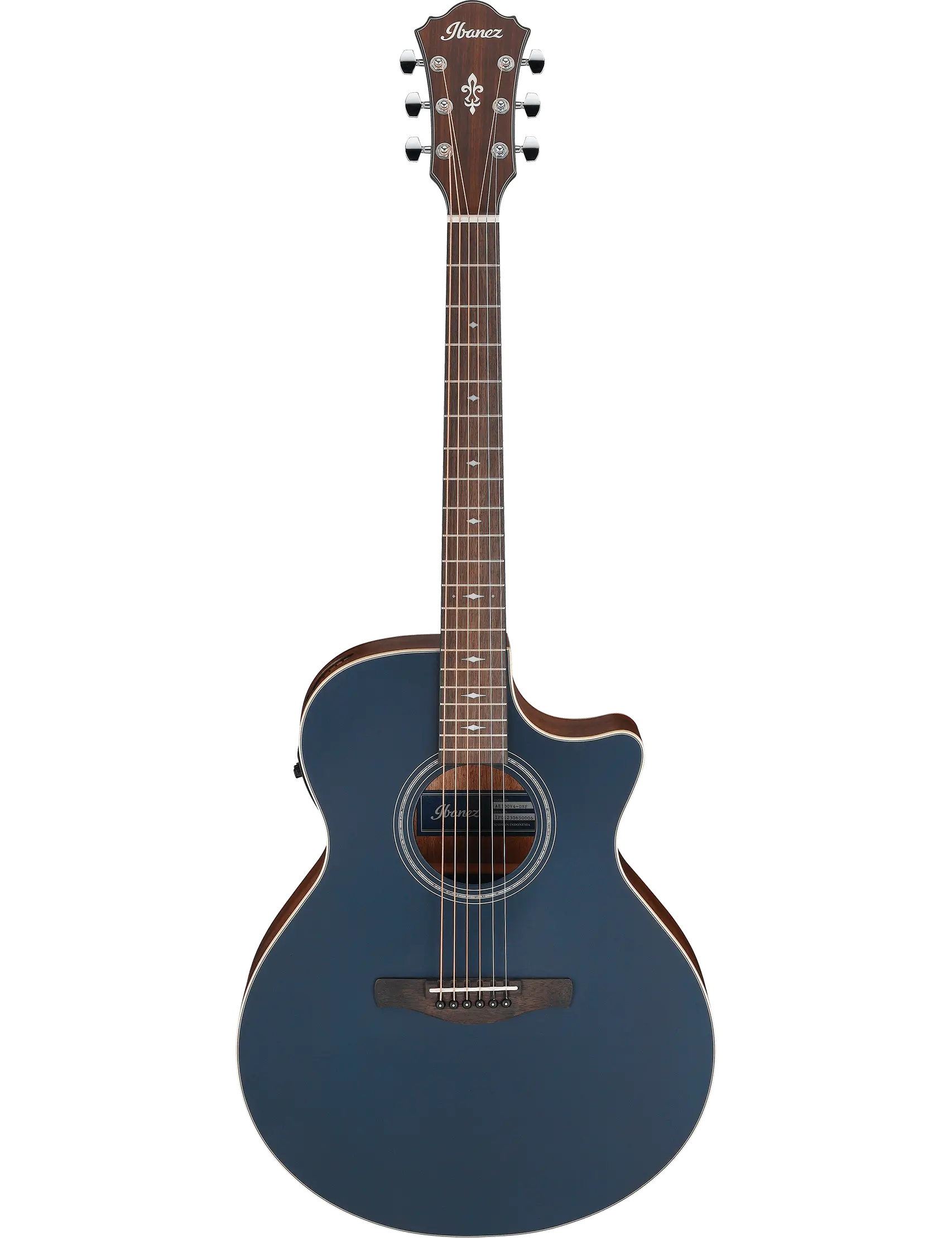 Ibanez AE100