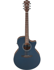 Ibanez AE100