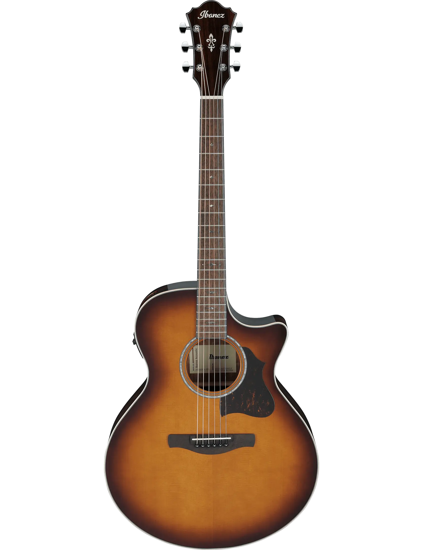 Ibanez AE160