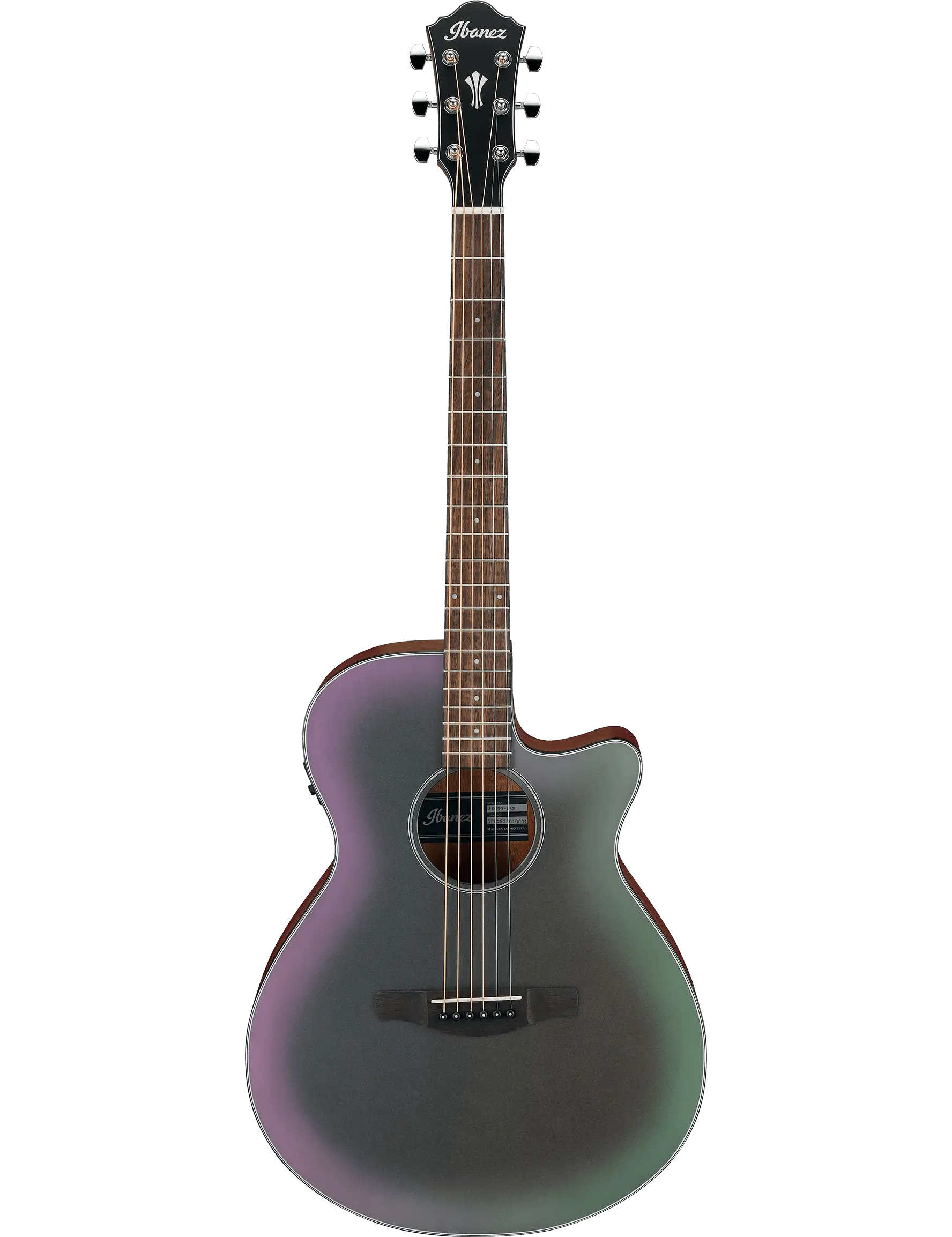 Ibanez AEG50