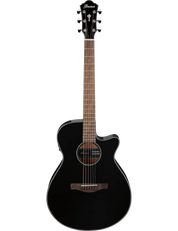 Ibanez AEG50
