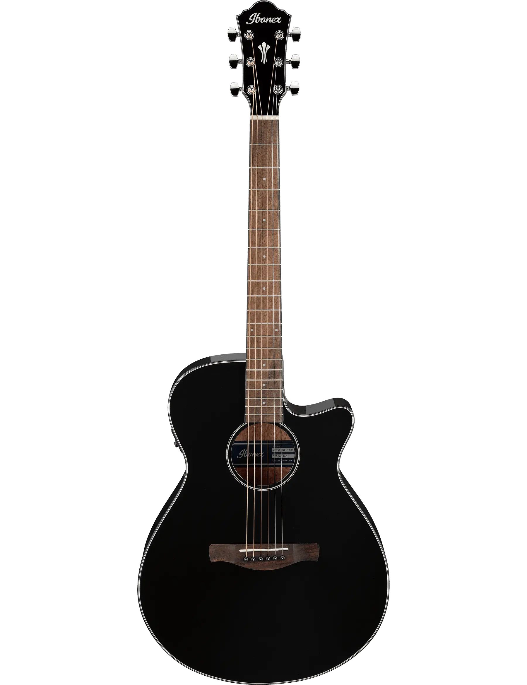 Ibanez AEG50