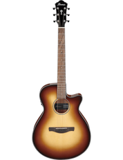 Ibanez AEG50
