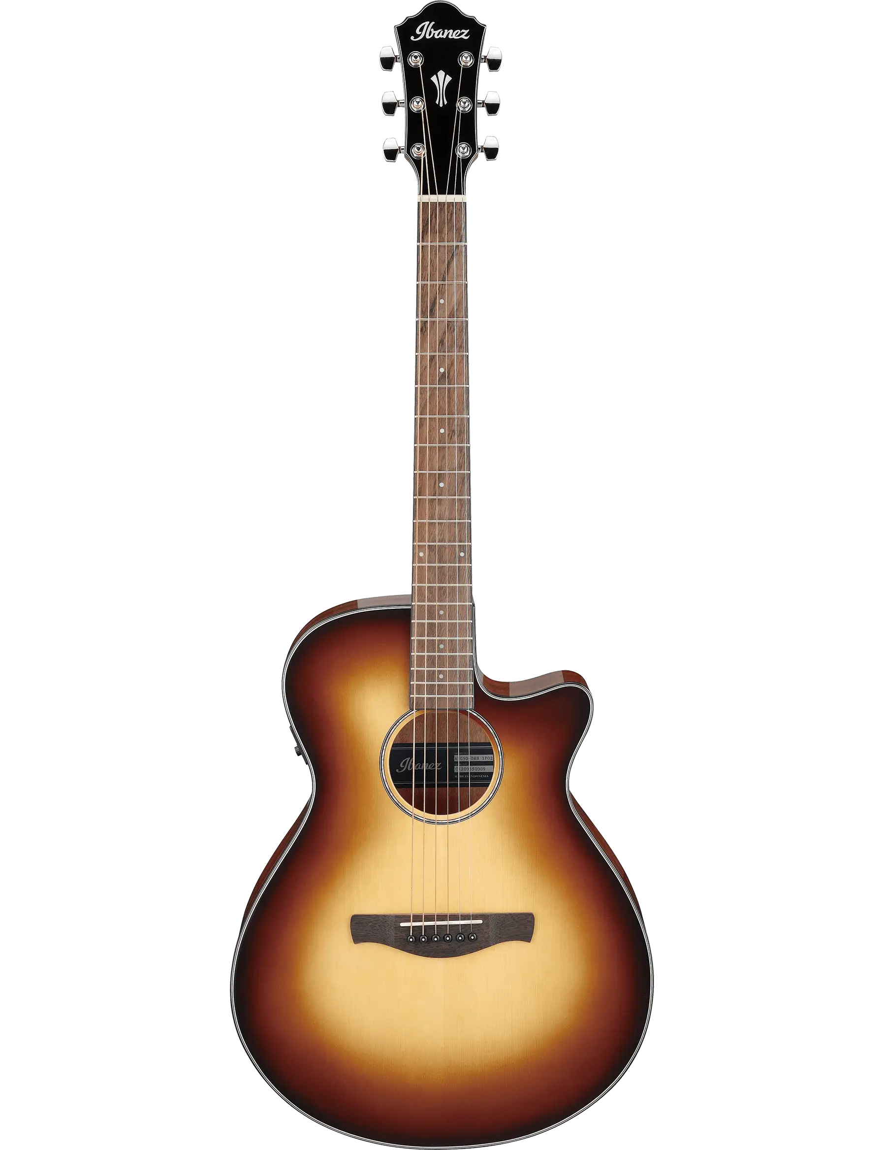 Ibanez AEG50