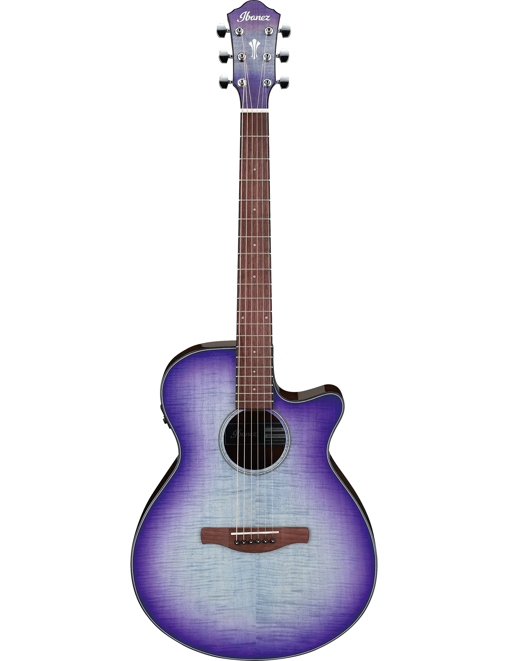 Ibanez AEG70