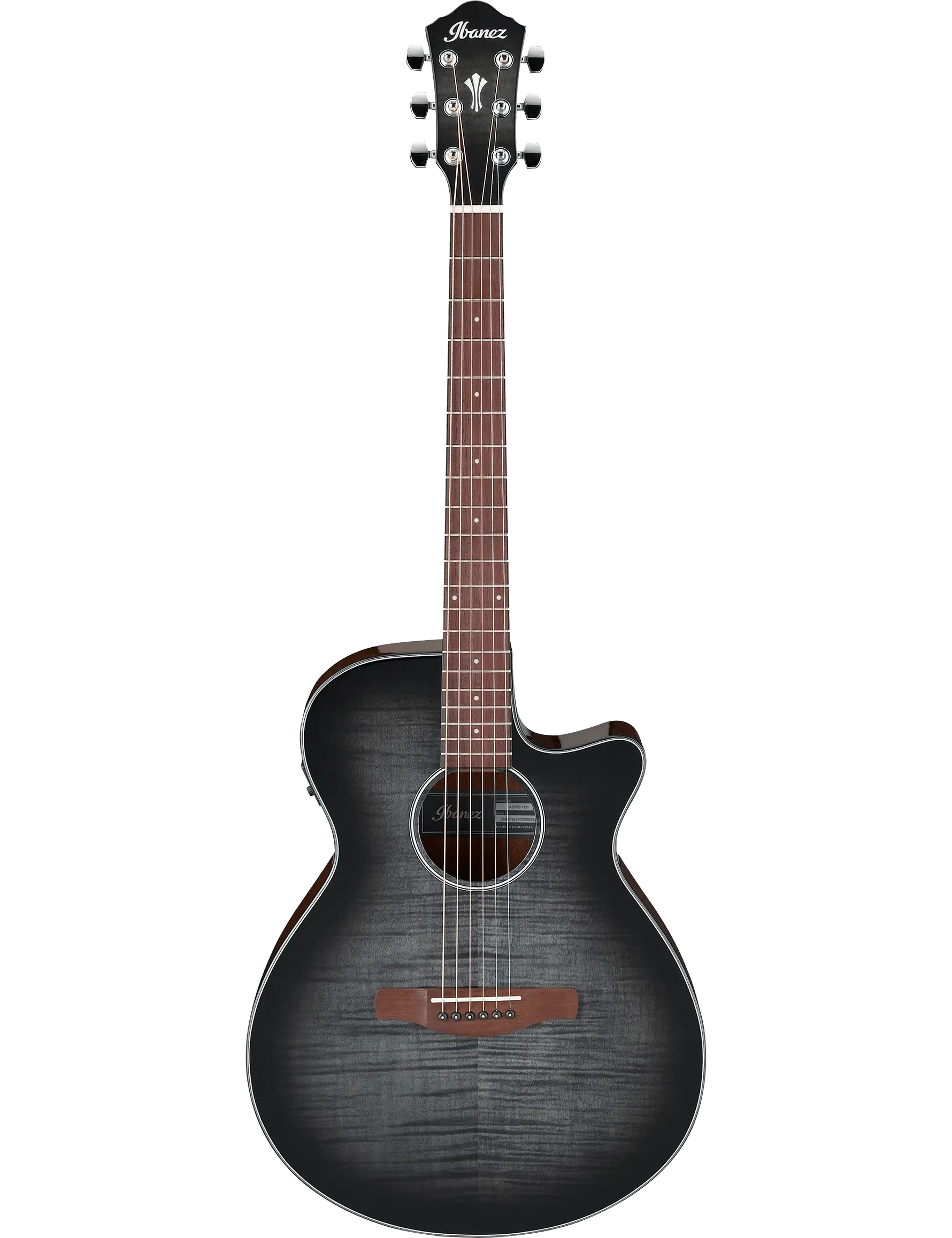 Ibanez AEG70