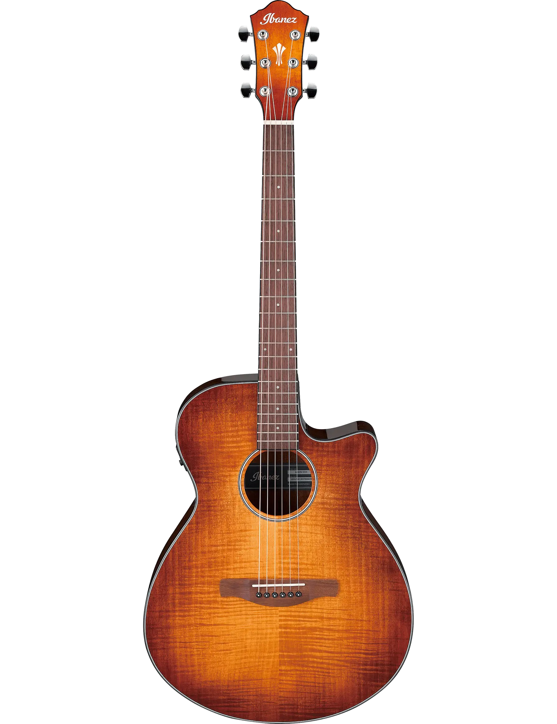 Ibanez AEG70