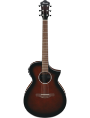 Ibanez AEWC11