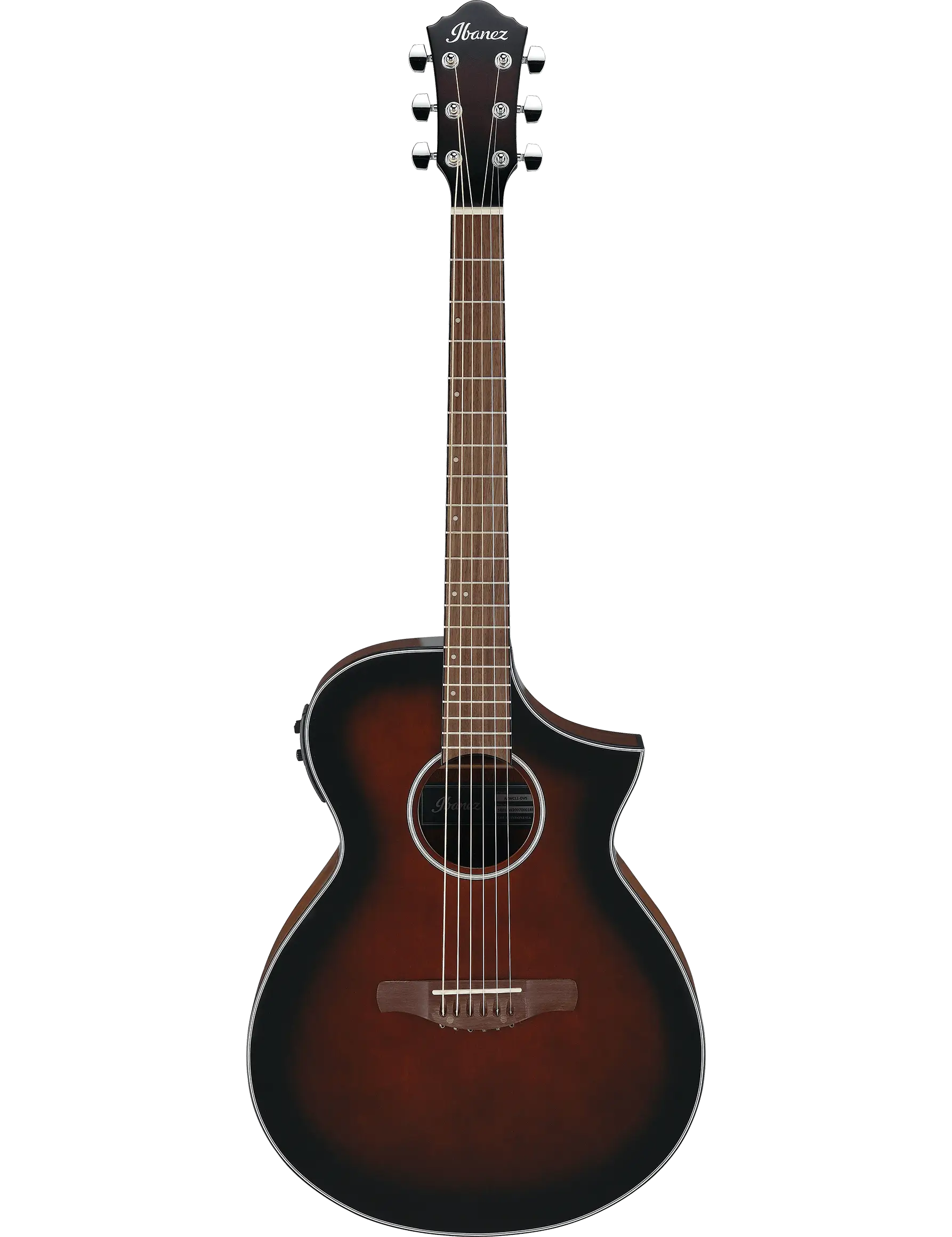 Ibanez AEWC11