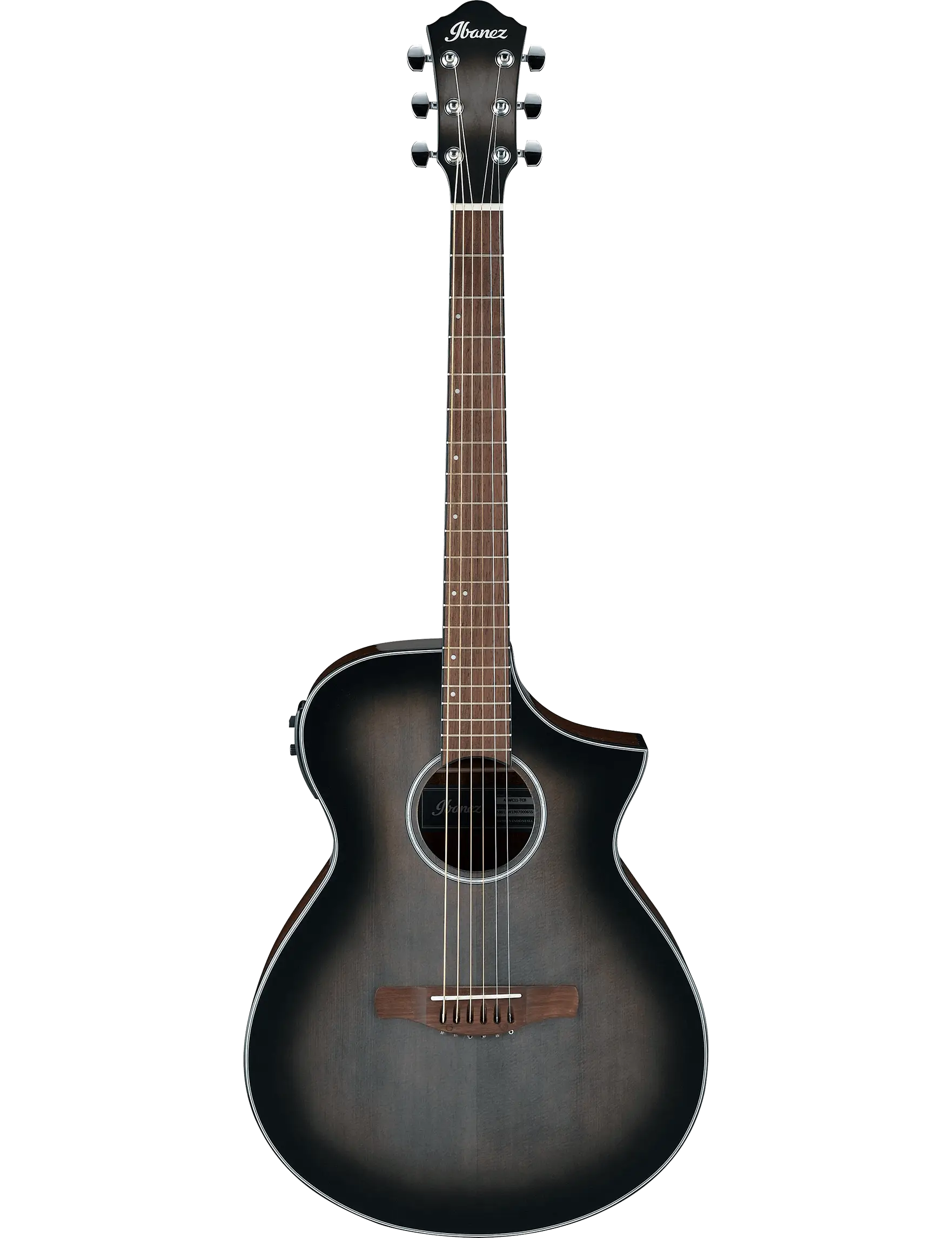 Ibanez AEWC11