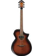 Ibanez AEWC400